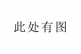 皮山如何避免债务纠纷？专业追讨公司教您应对之策