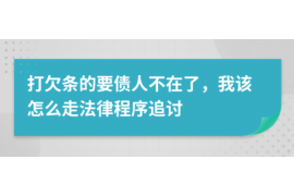 皮山为什么选择专业追讨公司来处理您的债务纠纷？